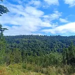 Bienvenidos A Su Refugio Chiloe